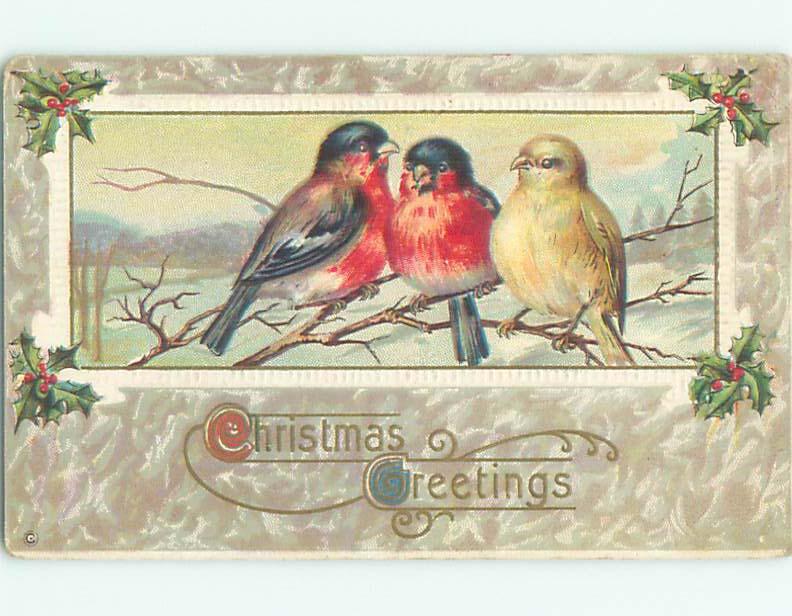 Pre-Linen christmas THREE BEAUTIFUL LARGE BIRDS SITTING ON BRANCH J1751