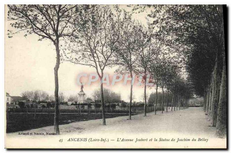 Old Postcard Ancenis L & # 39Avenue Joubert And The Statue Joacbim Du Bellay