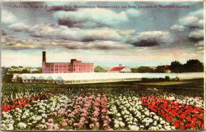 Postcard IL Rockford Advertising Card Buckbee's Seed Warehouses C.1910 M22