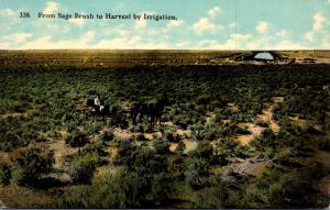 Farming Scene From Sage Brush To Harvest By Irrigation