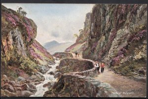 Scotland Postcard - The Pass of Melfont, Argyllshire   Z401