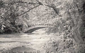 Vintage Postcard 1907 Scene Rock Creek Washington D.C. I. & M. Ottenheimer Pub.