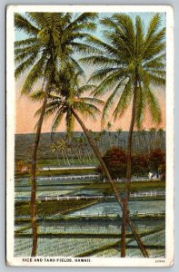 Hawaiian Postcard - Rice and Taro Fields - Hawaii