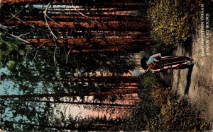 Washington Northwestern Indian Homeward Bound