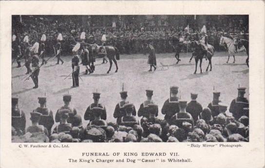 Funeral Of King Edwrad VII The King's Charger and Dog Caesar