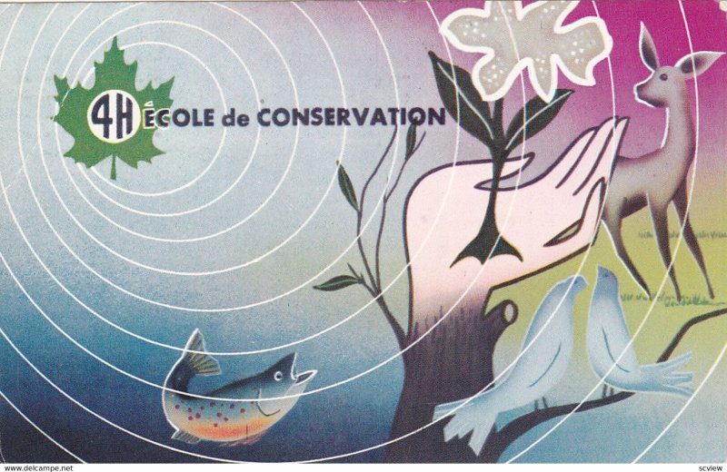 MONTREAL , Quebec , Canada , 1969 ; 4H Ecole de Conservation