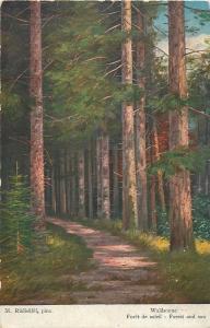 M. Rudisuhli - Forest and sun