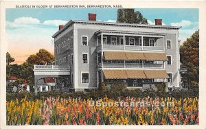 Gladioli in Bloom at Bernardston Inn - Massachusetts MA