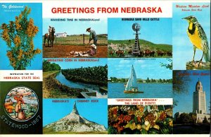 Multi View, Greetings from Nebraska Vintage Postcard C72