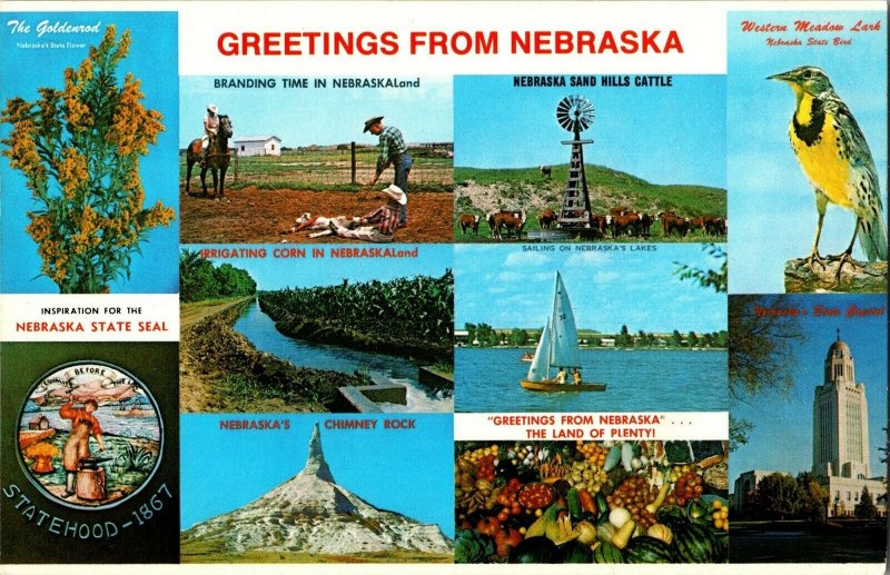 Multi View, Greetings from Nebraska Vintage Postcard C72