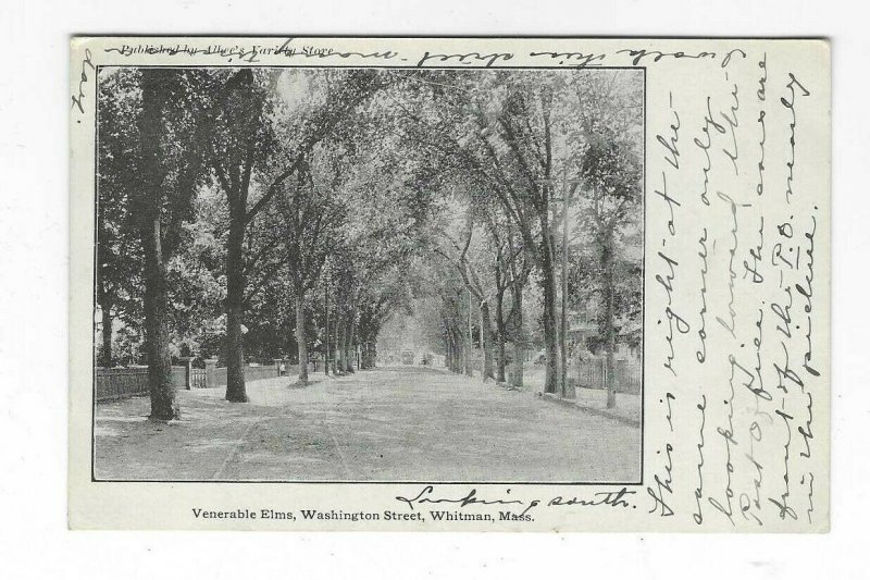 2) 1900s postcards of Washington Street, Whitman, Mass.