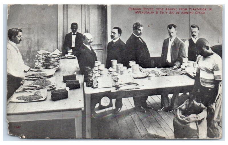 1908 Grading Coffee at McLaughlin & Co's Rio de Janeiro, Brazil Office Postcard