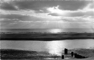 BG22927 insel fohr abend am meer   germany CPSM 14x9cm