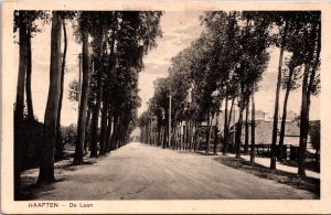 Netherlands Haaften De Laan Vintage Postcard C019