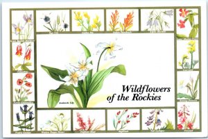 Postcard - Wildflowers of the Rockies