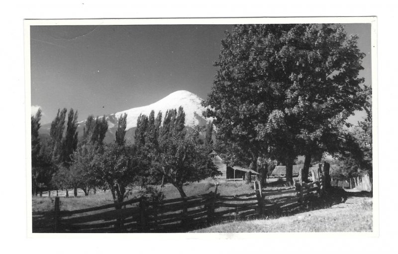South America Chile 1950 Log Cabin Mountains Real Photo No Postcard Format