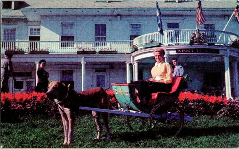 Dog Cart Kent House Quebec City PQ Canada Postcard UNP Vintage Ektachrome Michel 