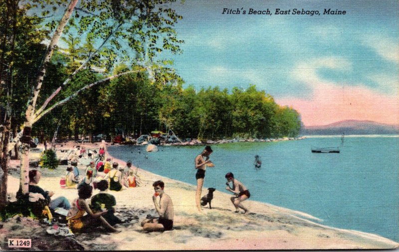 Maine East Sebago Scene On Fitch's Beach