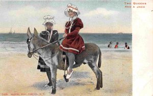 Two Queens & A Jack Bathing Beauties & Burro on Beach 1905c postcard