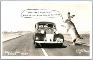 RABBIT DRIVING SCHOOL EXAGGERATED VINTAGE REAL PHOTO POSTCARD RPPC GARDEN CITY