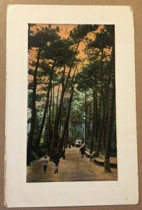 VINTAGE .01 POSTCARD NO DATE USED WALKWAY WITH BENCHES THROUGHT THE WOODS