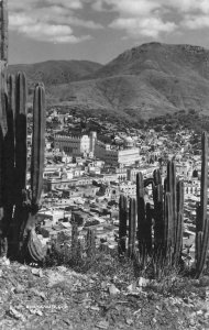RPPC Guanajuato, Mexico Bird's Eye View Cacti c1950s Vintage Postcard