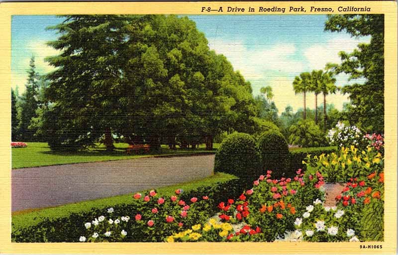 Postcard NATURE SCENE Fresno California CA AO2382