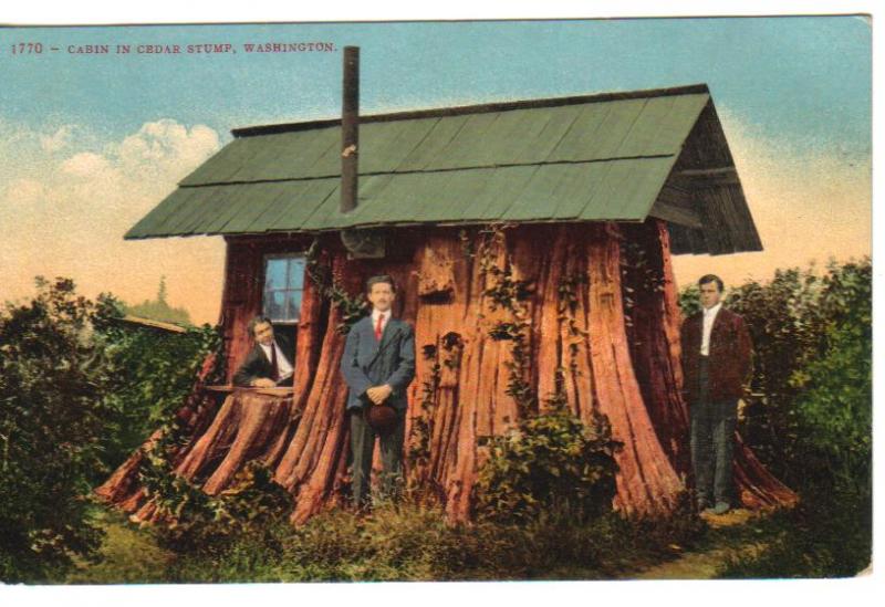 Cabin in Cedar Stump, Washington, Unused, Edward H. Mitchell