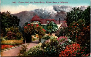 Vtg 1910's Flower Beds Snow Capped Mountains Winter Scene California CA Postcard