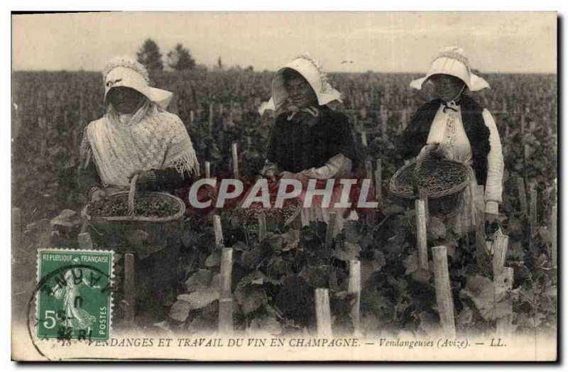 Old Postcard Folklore Harvest and labor Champagne wine pickers Avize TOP