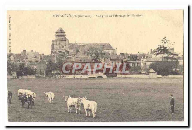 Pont l & # 39Eveque Old Postcard View from the & # 39herbage of Hunières (cows)