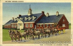 Genese Brewing Co. Inc. Genesee 12 Horse Team & Stables, Rochester, NY Unused...