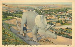 South Dakota Rapid City Triceratops Dinosaur Park #250 Postcard Teich 22-5665