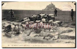 Old Postcard Mont Saint Michel Les Pres Sales des Greves Shepherd Sheep