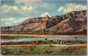 1948 Sandia Peak and Needle Mountains Aburquerque New Mexico NM Posted Postcard