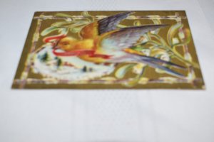 A Happy New Year Greetings Bird with Ribbon Embossed Postcard