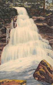 Leavitts Falls and Glen near Skytop - Skytop, Pennsylvania PA