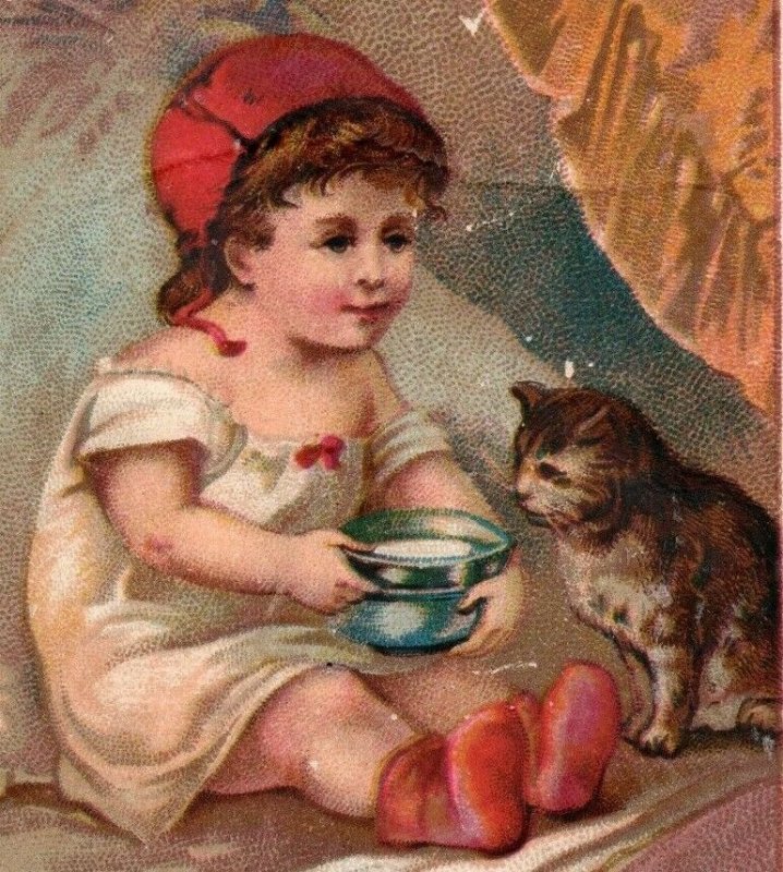 1883 J.B Gilbert Fine Shoes Adorable Child Feeding Cute Cat P188