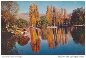 Nevada Reno Natures Autumn Paint Brush Idlewild Park