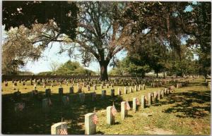 Chalmette Cemetery - memorial day scene New Orleans Louisiana