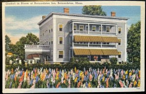 Vintage Postcard 1930-1945 Gladioli, Bernardston Inn, Massachusetts (MA)