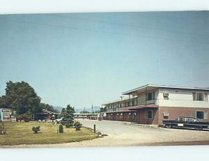 Unused Pre-1980 OLD CARS & WESTERNER MOTEL Missoula Montana MT M0901