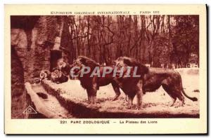 Old Postcard Paris International Colonial Exposition 1931 Zoo Plateau lions