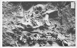 Fossil Bones, Rancho La Brea Pit Exhibit, Hancock Park - Los Angeles, Califor...