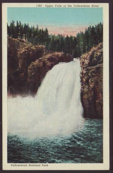 Upper Falls of the Yellowstone River Postcard 