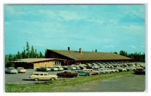 YELLOWSTONE NATIONAL PARK, WY ~ Roadside CANYON LODGE c1950s Cars  Postcard