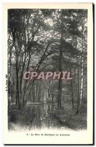 Old Postcard The Bois de Boulogne in Autumn