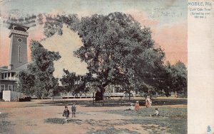 J81/ Mobile Alabama Postcard c1910 Live Oak Tree Building 340