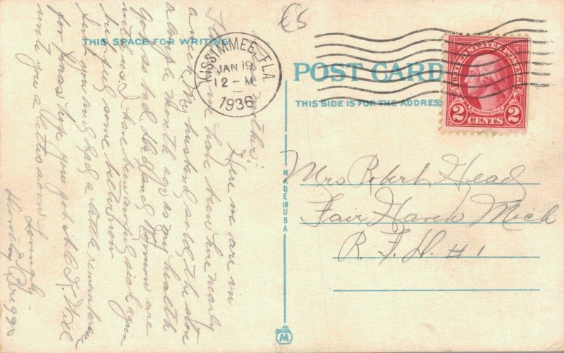 USA Florida Alligator A Florida Man Eater 06.32