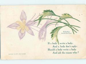 1907 beautiful LARGE DETAILED COLUMBINE - COLORADO CO STATE FLOWER HL5759